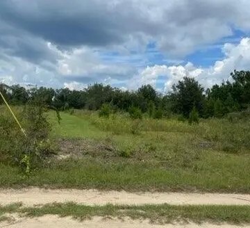 The Call Of the Country; Nw Fl Near Beaches