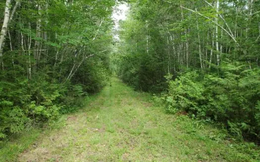 Sportsman’s Refuge Property