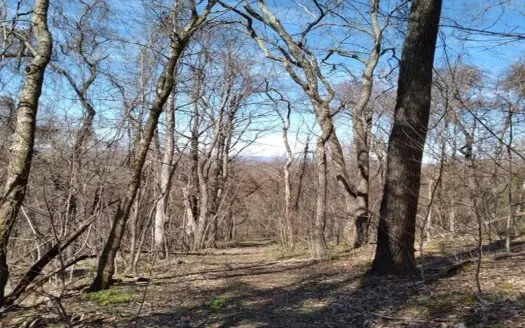 Unrestricted Wooded Property for Sale Grainger County Tn