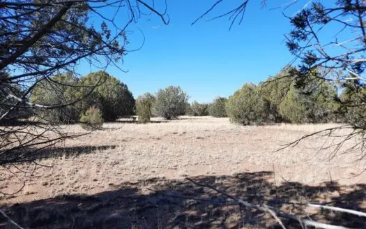 To Many Beautiful Spots to Choose from