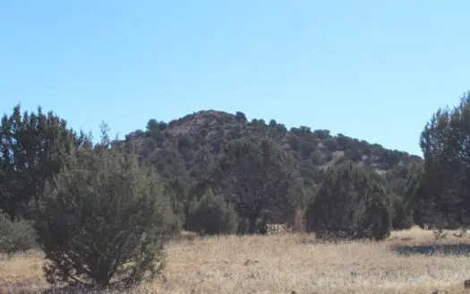 40+ Acres Of Mountain Land for Sale in Westwood Ranches