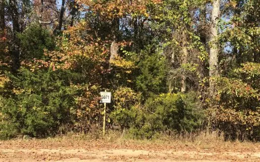 East Texas Timber Land Hunting Land for Sale