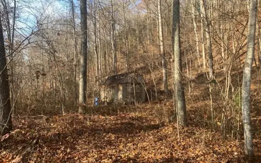 Small Wooded Acreage – Storage Bldg. – Middleburg, Ky.