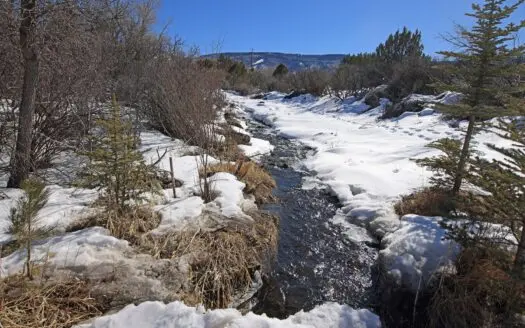 Colorado Mountain Acreage with Live Water
