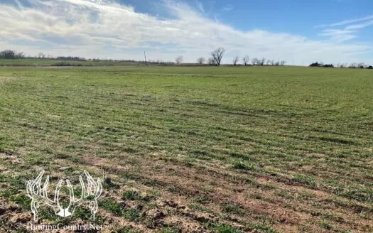 98 Acres M/l Harper County Kansas Cropland for Sale