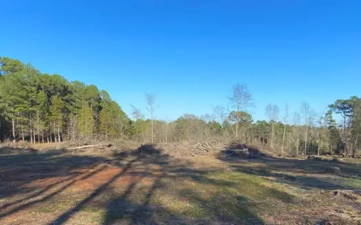 Land for Sale in East Texas