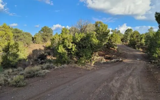 Nevada Residential Buildable Land for Sale Near Pioche Nv