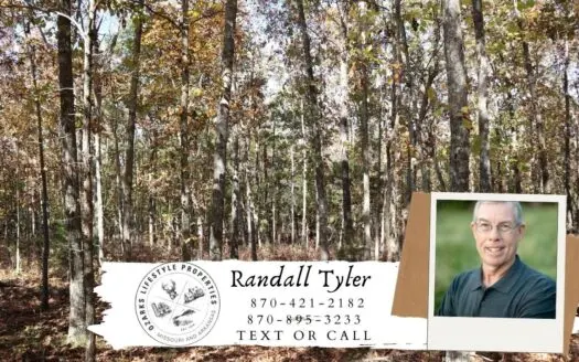 Ozarks Acreage for Sale Near Salem Arkansas