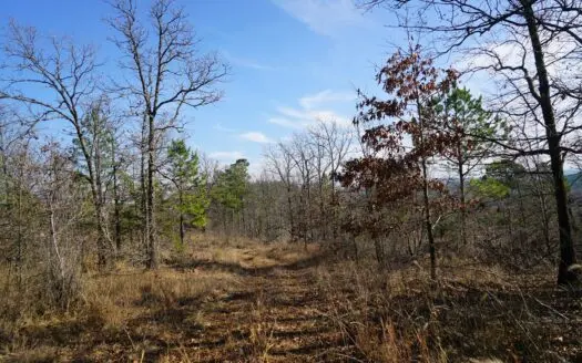 Southeastern Oklahoma Cabin Site Near National Forest
