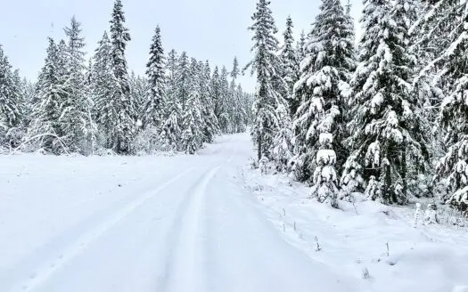 Build Your Dream House or Cabin- No Ccr’s