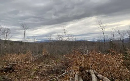 Land for Sale in Weld, Maine