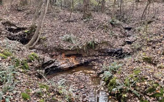 Unrestricted Land for Sale in Lawrenceburg Tn Giles County