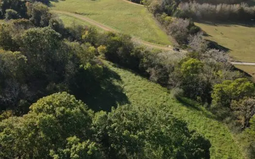 Land for Sale in Pulaski, Tennessee