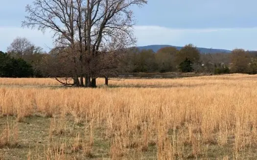 Land for Sale Near Sardis Lake Tract 4 – Clayton, Ok