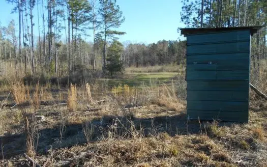 Land for Sale Hunting Land Amite County Liberty Mississippi