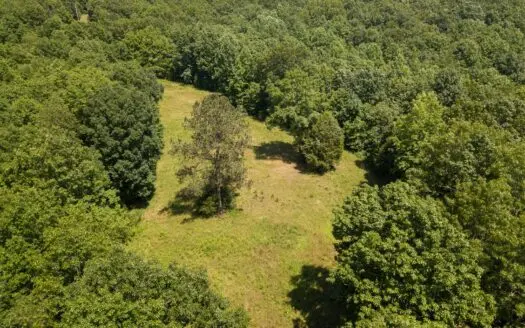 Sold! 51.58 Tn Acre Deer Turkey Timber Homeplace Stream