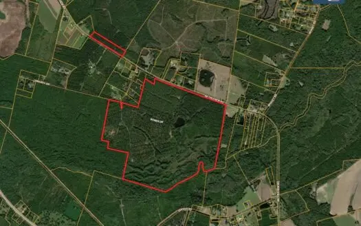 Timberland for Sale in Jesup, Ga