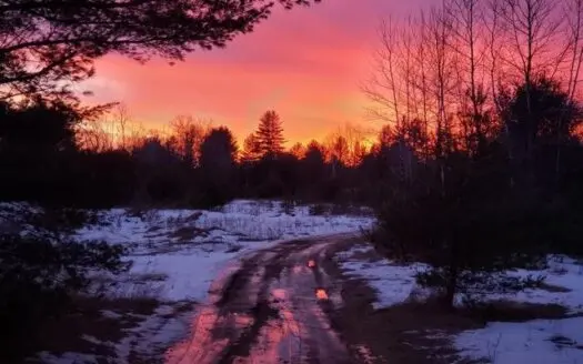 Vacant Acreage for Sale in Atlanta Mi, Montmorency County