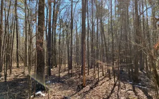 Small Rural Wooded Country Lot for Sale Near Springhill, La