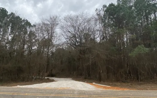 Homesite Location in Gilmer, Tx