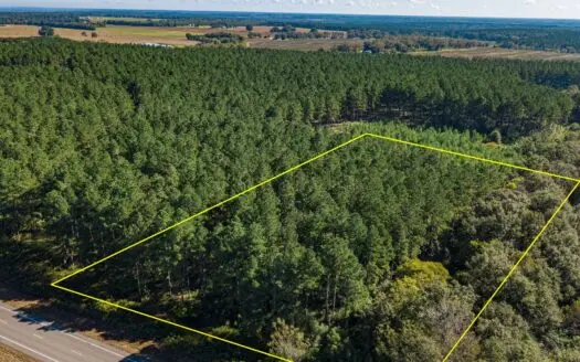 3.34 +/- Acres Of Land for Sale Hartford, Al