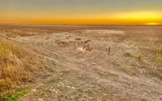 For Sale- N. Medford 160 Acres-grant County-oklahoma