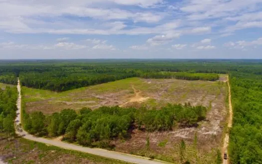 Recreational Timber Acreage – Bossier Parish – 102 Acres