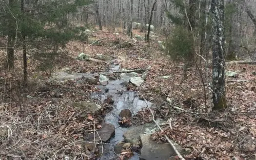 Arkansas Hunting Property for Sale Searcy County