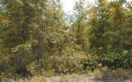 6 Lots Totaling 0.73 Acres for Sale in Suwannee County, Fl