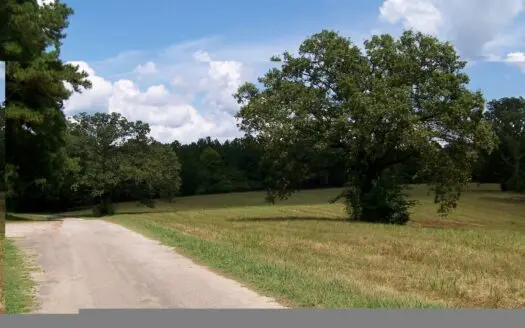 Tennessee Land for Sale Near Pickwick Lake, Unrestricted