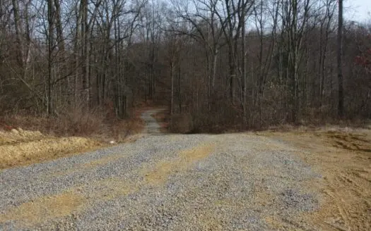 Rare, Secluded Hunting Land in Vinton County, Oh for Sale!