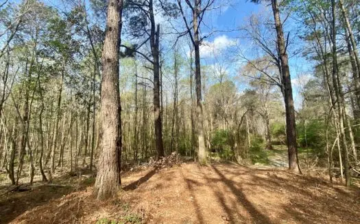 60+ Acres Henderson, Pike County