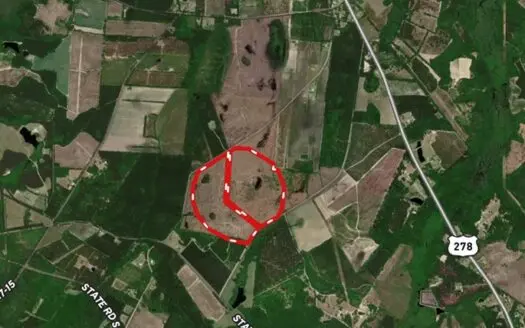 Jasper County / Lowcountry / Future Homesite / Land