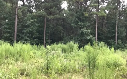 Timberland Investment Property