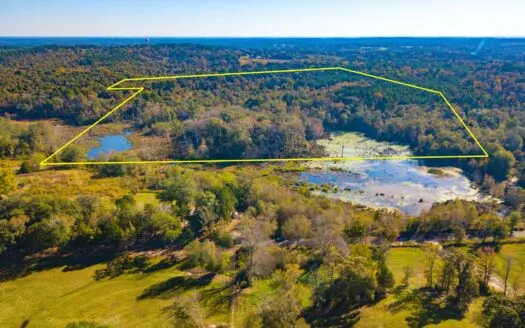 42 Heavily Wooded East Texas Acres Winnsboro, Wood County Tx