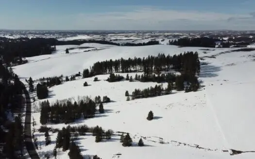 North Idaho Acreage 23 Acres Idaho Land Near Moscow