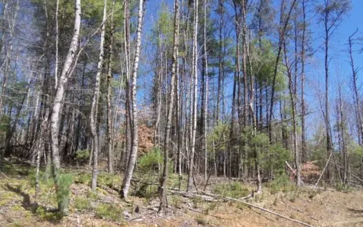 Floyd Va Land for Sale!