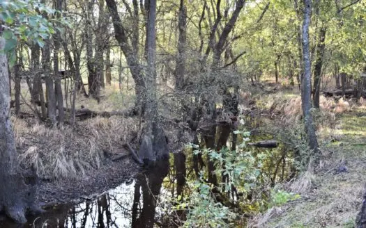 Prairie Hill Texas Limestone County 24 Acres for Sale