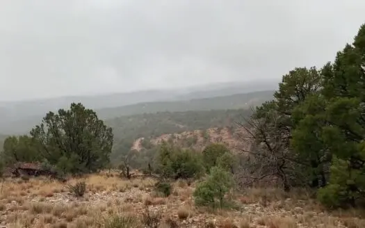 Mountain Acreage in Hunting Area New Mexico
