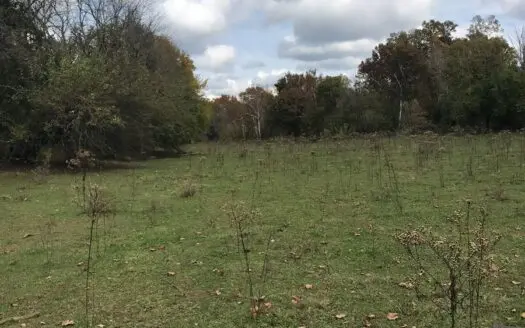 Kentucky Cattle Farm & Hunting Land with Creek for Sale