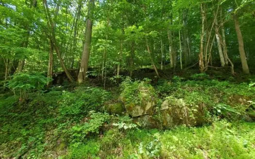 Recreational Lot for Sale in Bristol Va