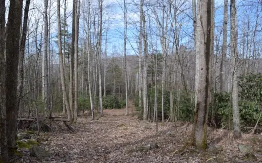Land for Sale in Bent Mountain Va!