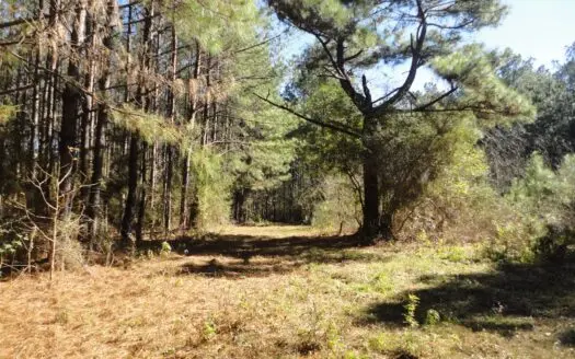 Land for Sale Lincoln County Brookhaven Mississippi