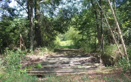 38 East Texas Acres – Wood County Land – Winnsboro Acreage
