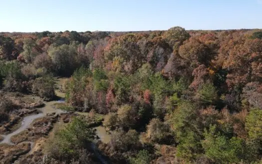Hunting Tract in Grant County Arkansas