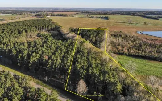 7.5 +/- Acres for Sale Hartford, Al