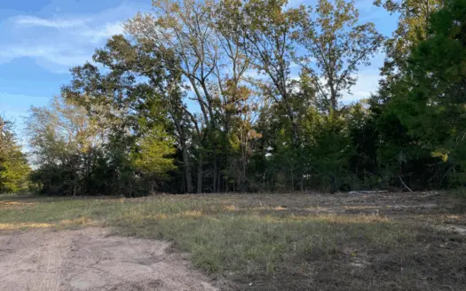 32 Acres ± for Sale in Gilmer, Texas