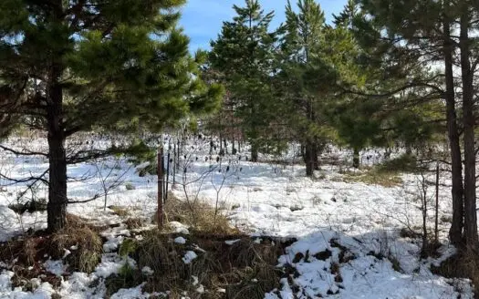 Central Arkansas Ozarks Recreational Land for Sale