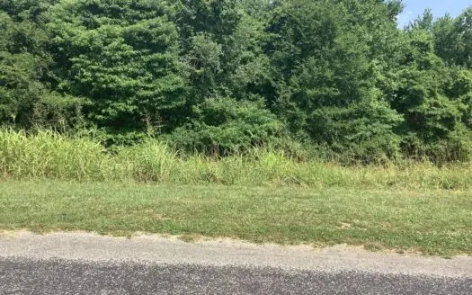 Cheyenne Pass Rd, Austin Ky  Walking Distance to Barren Lake