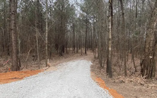 Land for Sale Gilmer, Tx